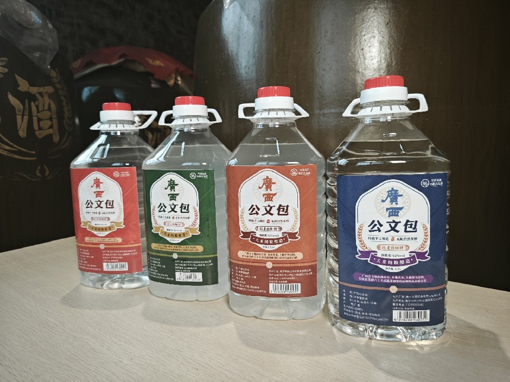 广西公文包酒系列